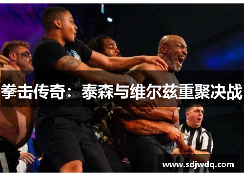 拳击传奇：泰森与维尔兹重聚决战